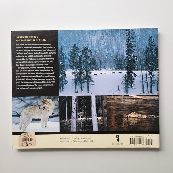 Yellowstone Wolves in the Wild by James Halfpenny Paperback Book 9781931832267 P - Picture 4 of 11